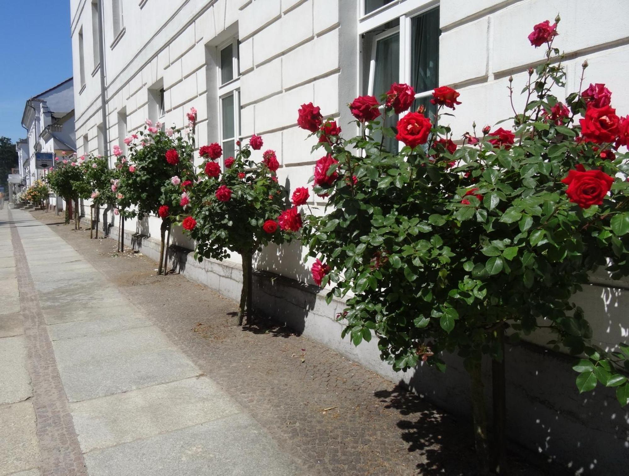 Appartement Meeresrauschen Baabe Luaran gambar